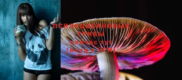 гидропоника Мегион